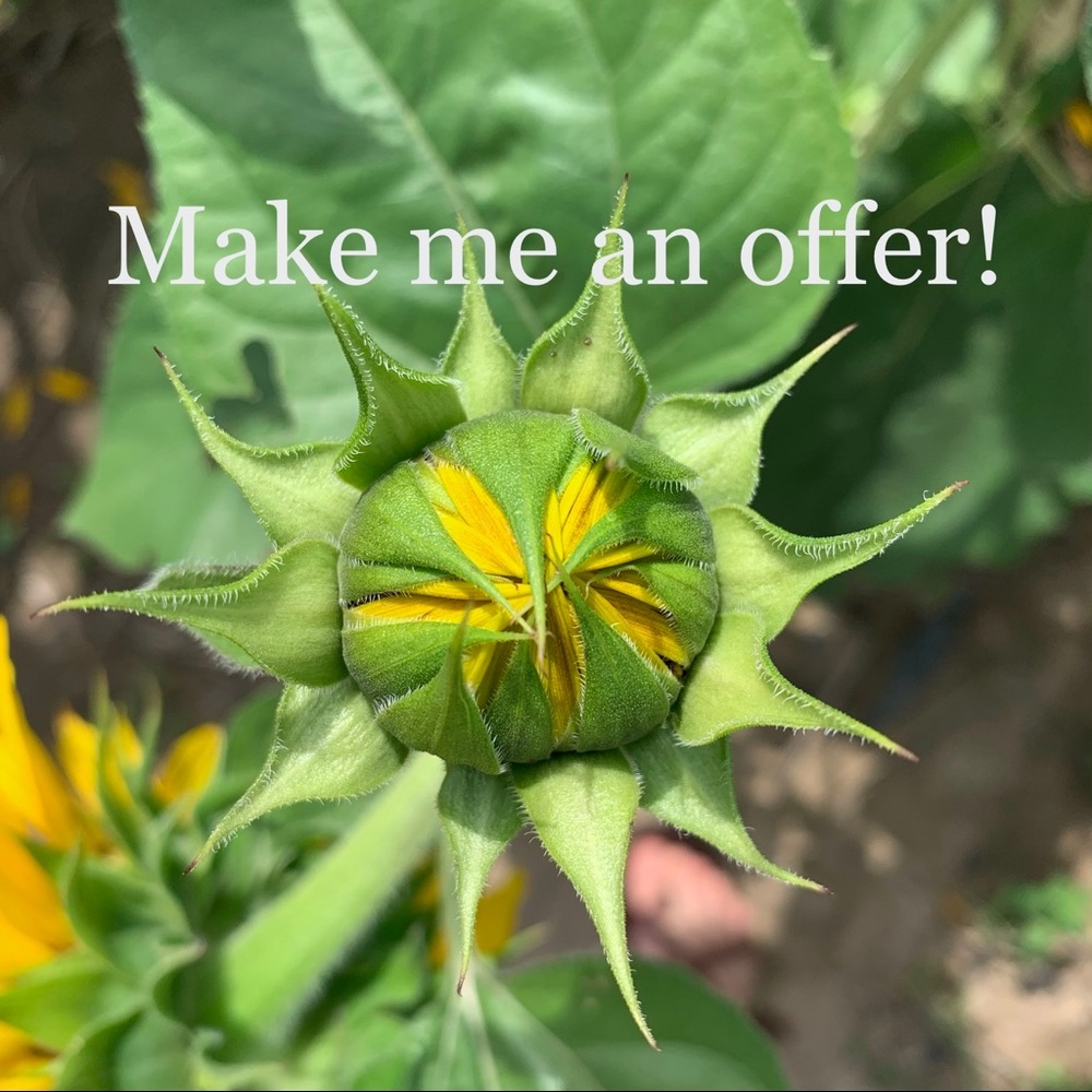 Make me an offer